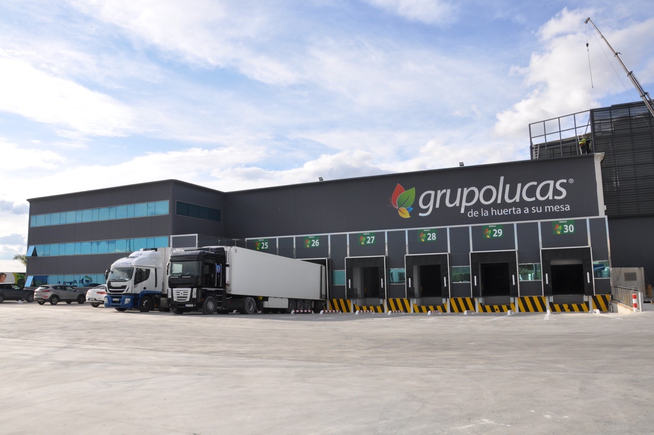 Grupo lucas