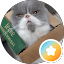FELIX Trading Chial