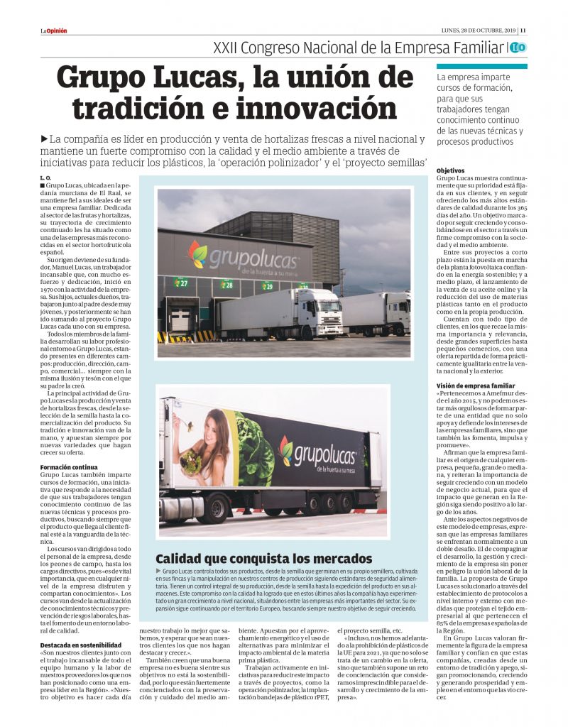 Opinión Grupo Lucas: Análisis y Valoración de Productos