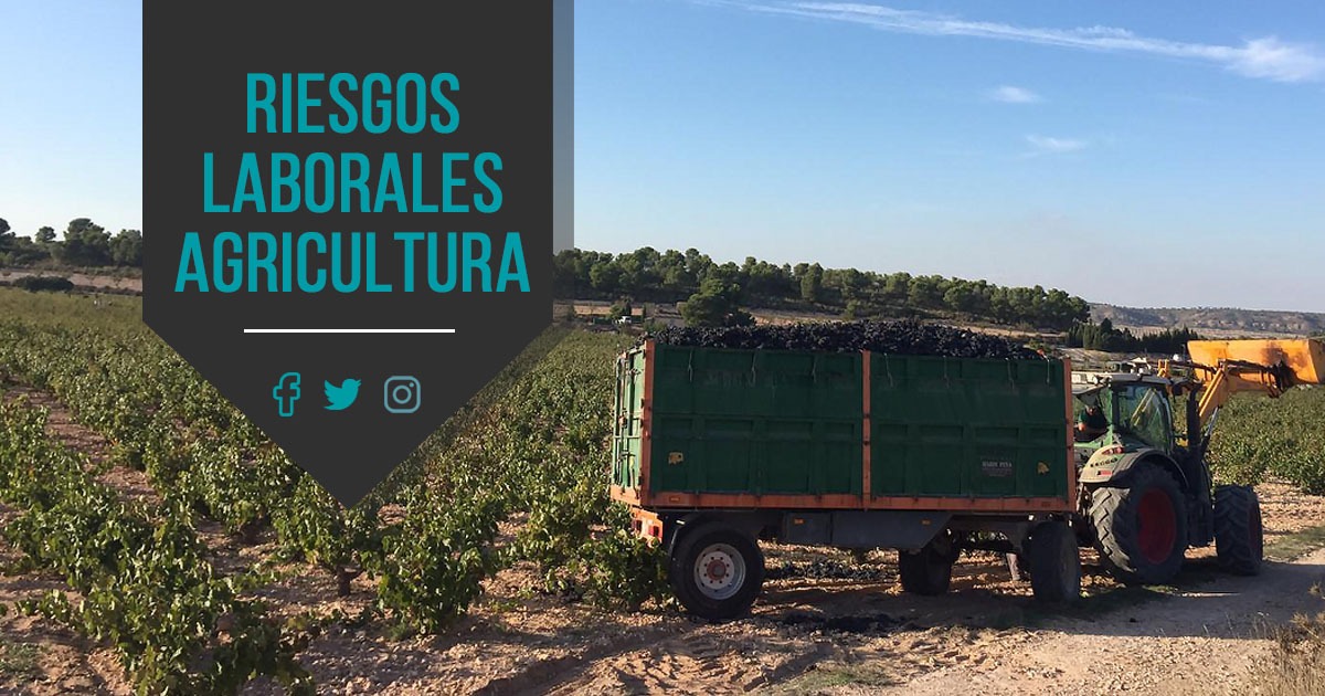 Opinión Agropecuaria La Montura: Análisis y Valoración