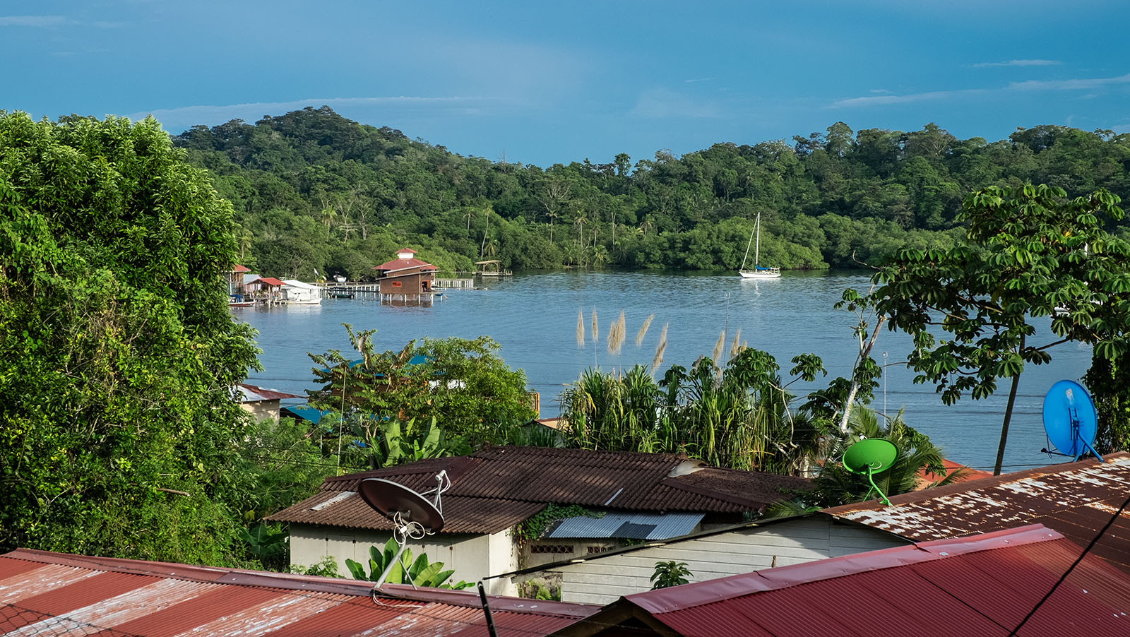 Mejores Ferreterías en Isla Bastimentos: Guía Completa para tu Negocio en Panamá